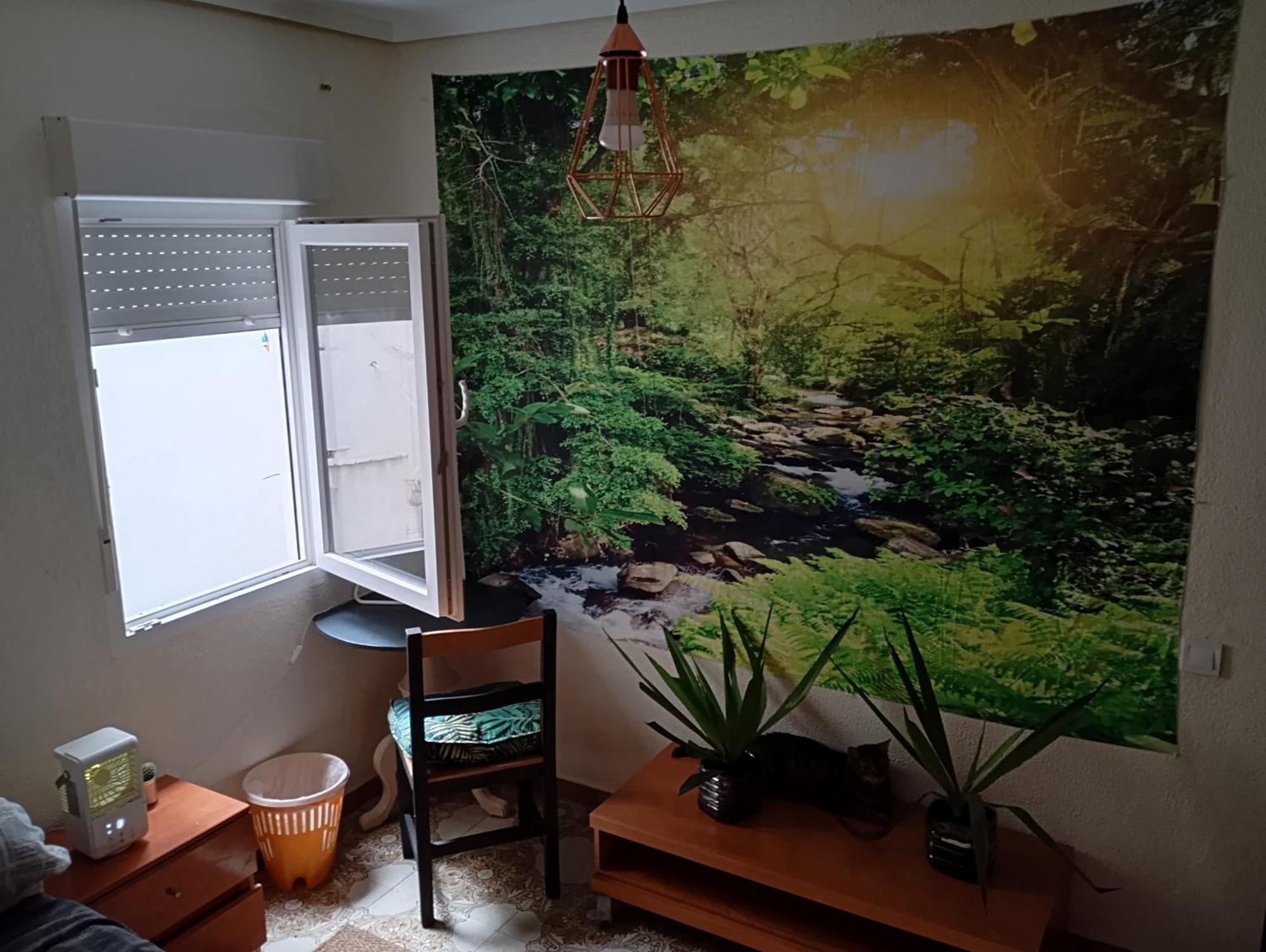 Grosses Modernes Zimmer "Silber" Fuer 2 Personen Und Katzenliebhaber Valencia Exterior foto